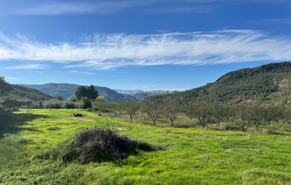 Перепродажа - Building - Valencia