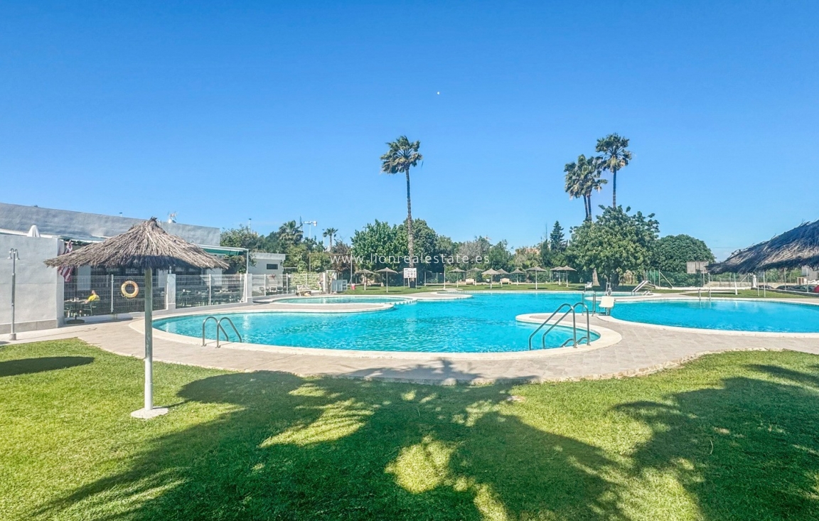 Перепродажа - Бунгало - Torrevieja - Los Balcones - Los Altos del Edén