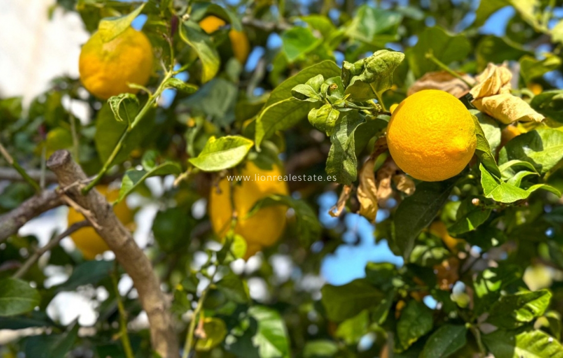 Перепродажа - Detached Villa - Orihuela Costa - Villamartín