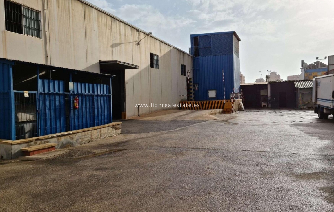 Перепродажа - Industrial unit - Torrevieja - Polígono Industrial Casa Grande