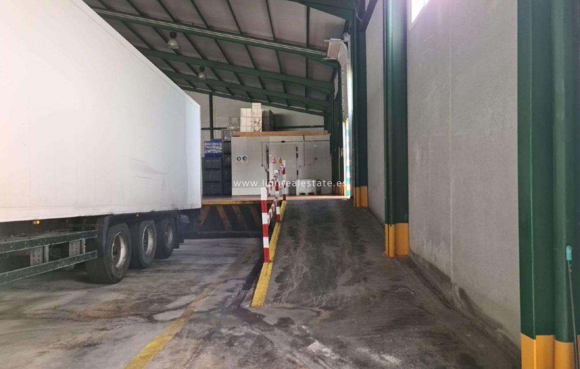 Перепродажа - Industrial unit - Torrevieja - Polígono Industrial Casa Grande