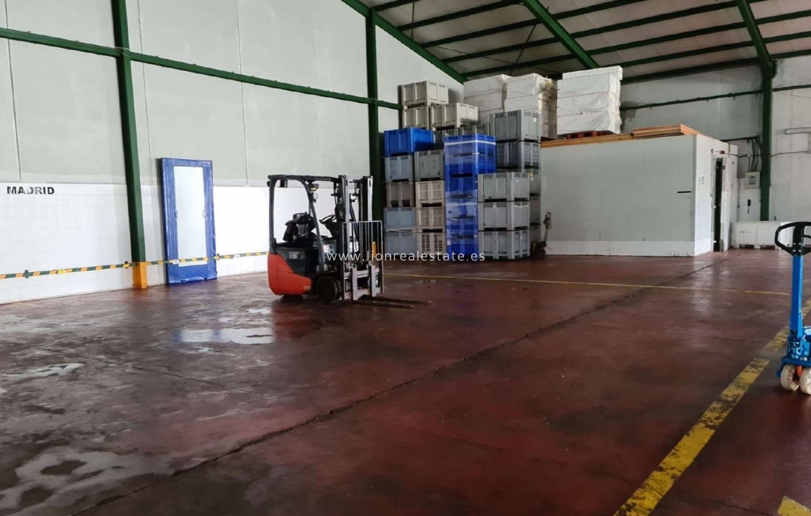 Перепродажа - Industrial unit - Torrevieja - Polígono Industrial Casa Grande