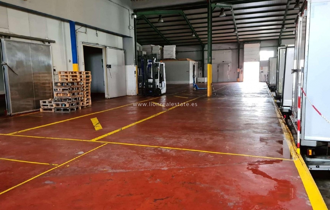 Перепродажа - Industrial unit - Torrevieja - Polígono Industrial Casa Grande