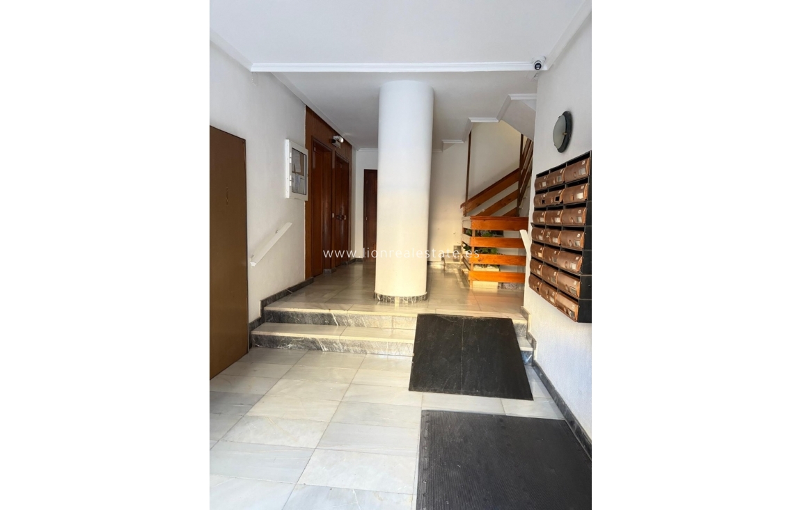 Перепродажа - Изучение - Torrevieja - Centro