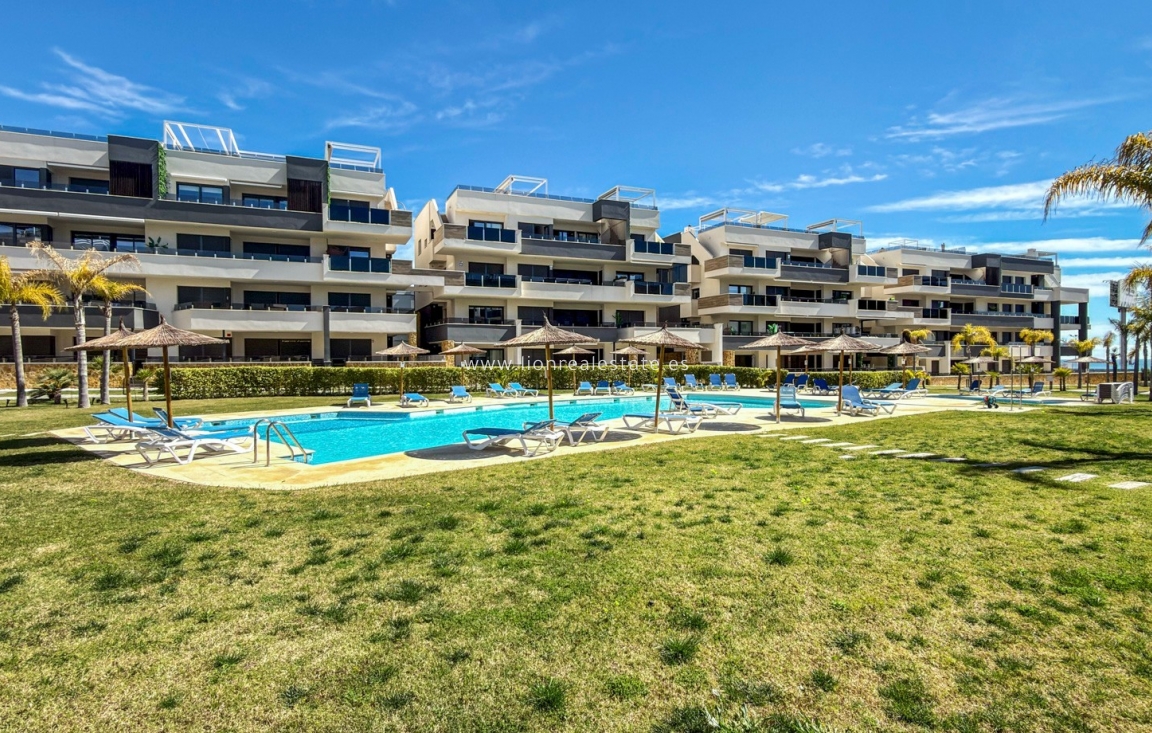 Перепродажа - Квартира / квартира - Orihuela Costa - Playa Flamenca