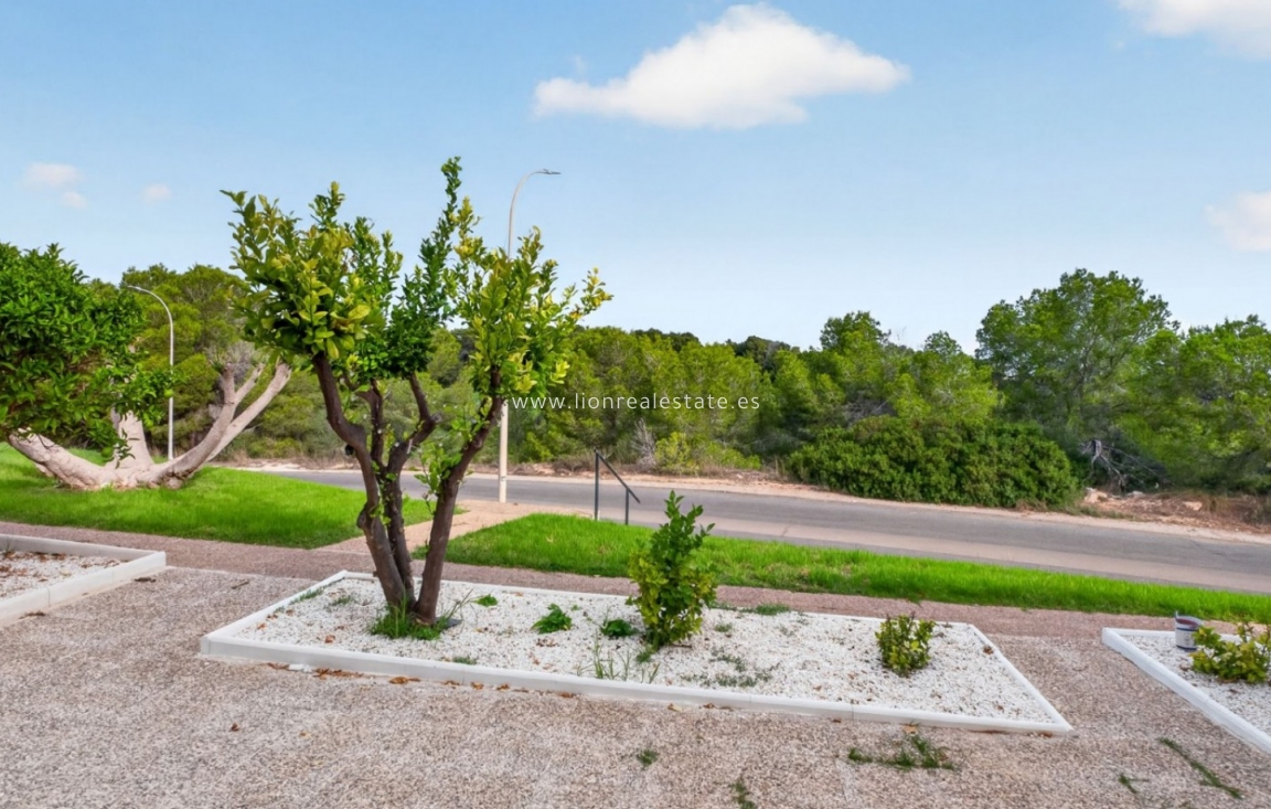 Перепродажа - Квартира / квартира - Orihuela Costa - Villamartín