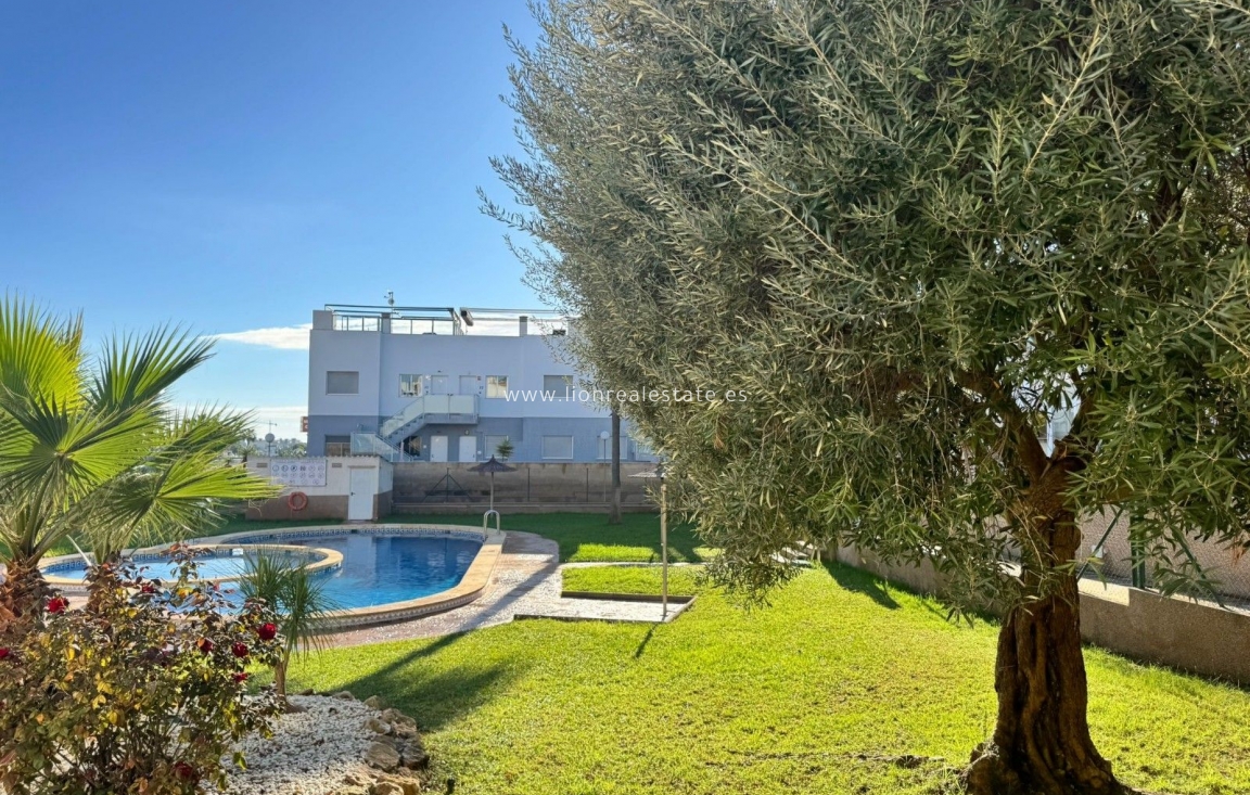 Перепродажа - Квартира / квартира - Orihuela - Los Balcones Y los Altos