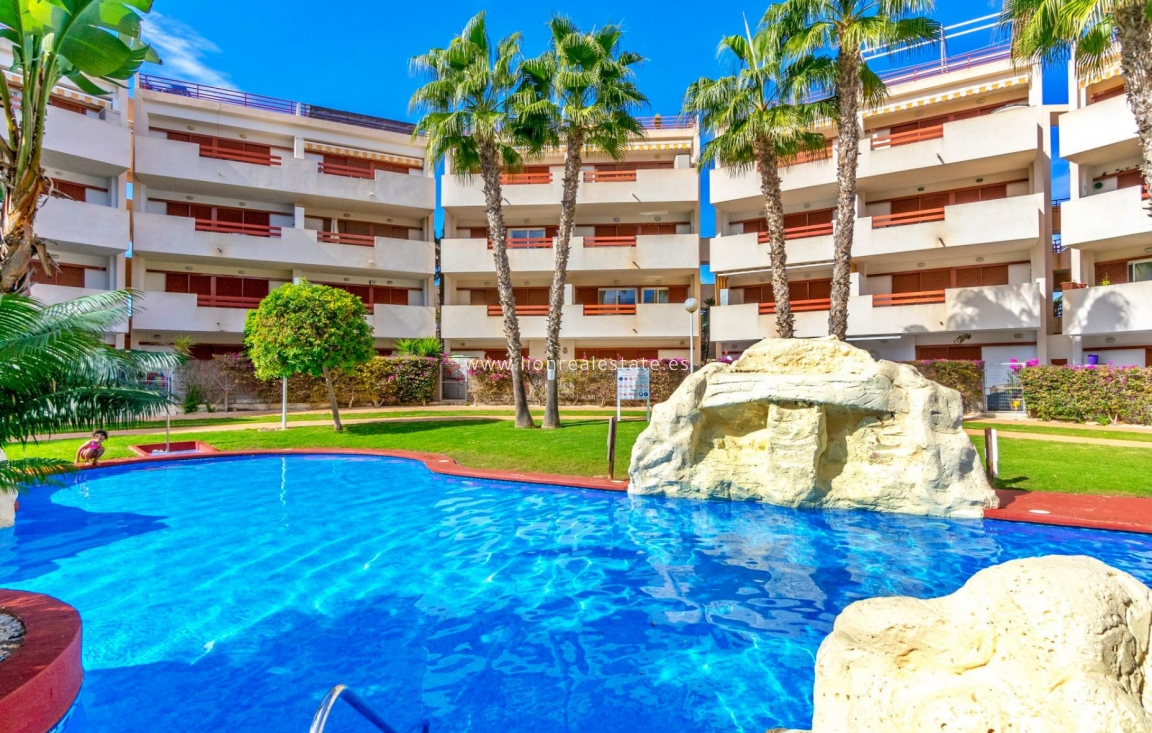 Перепродажа - Квартира / квартира - Playa Flamenca - El Rincon