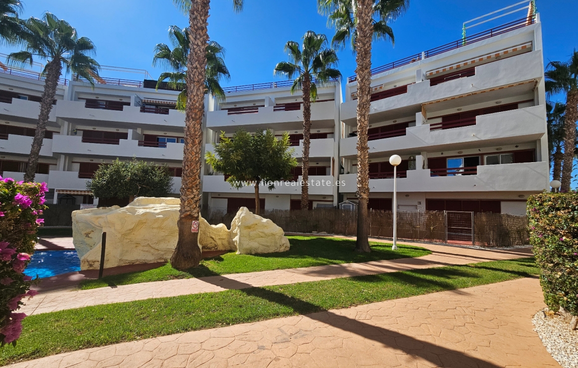 Перепродажа - Квартира / квартира - Playa Flamenca - El Rincon