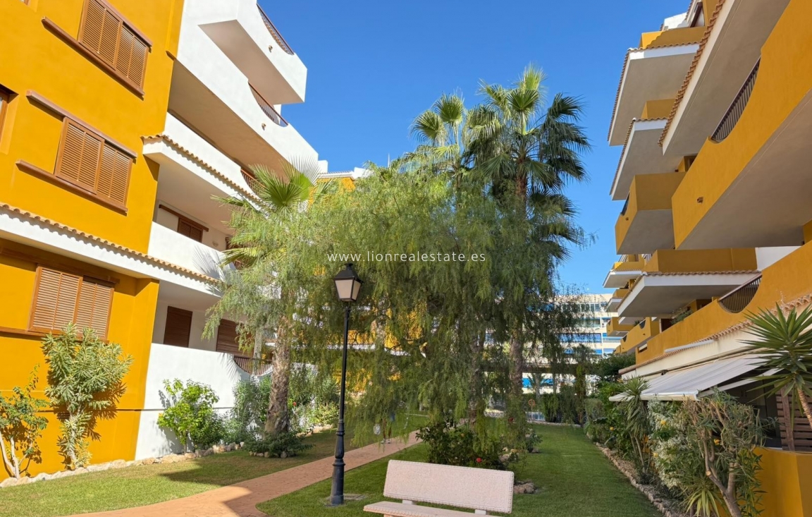 Перепродажа - Квартира / квартира - Punta Prima