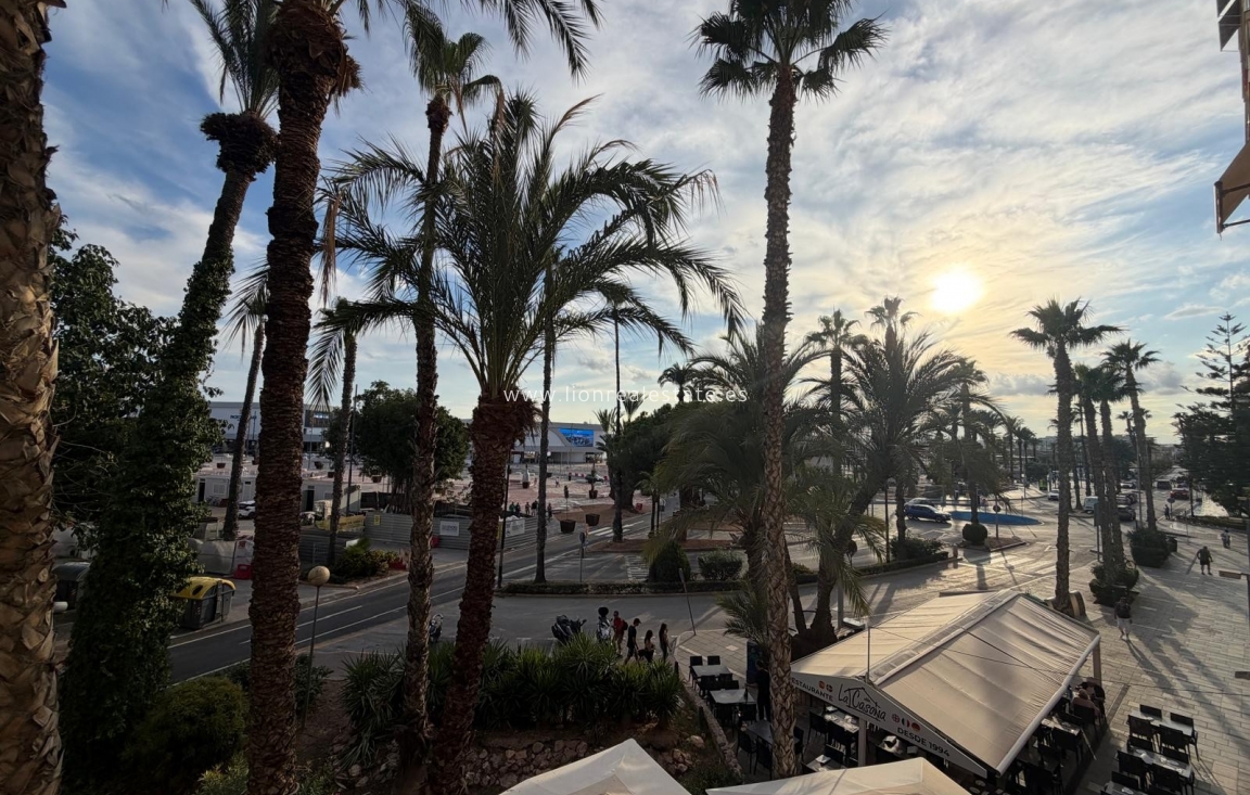 Перепродажа - Квартира / квартира - Torrevieja - Centro