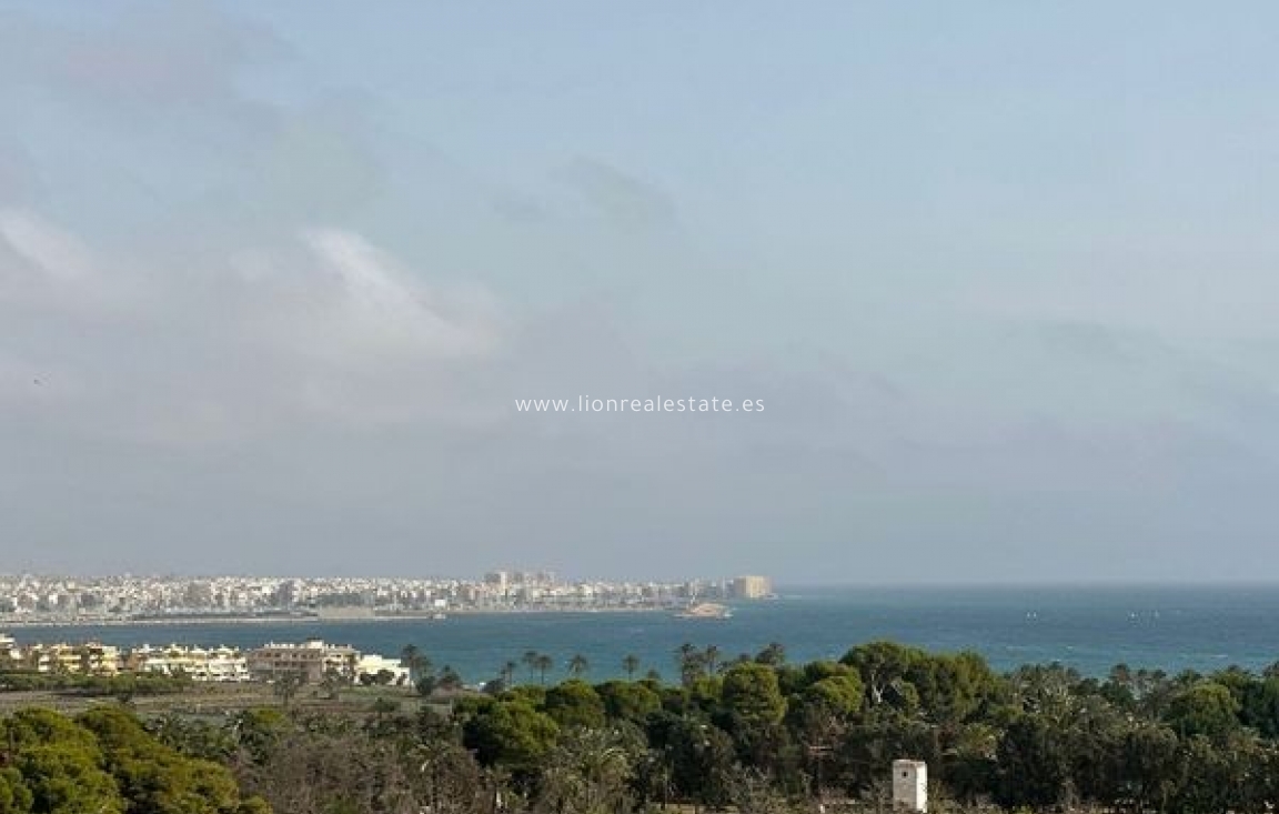 Перепродажа - Квартира / квартира - Torrevieja - Punta Prima