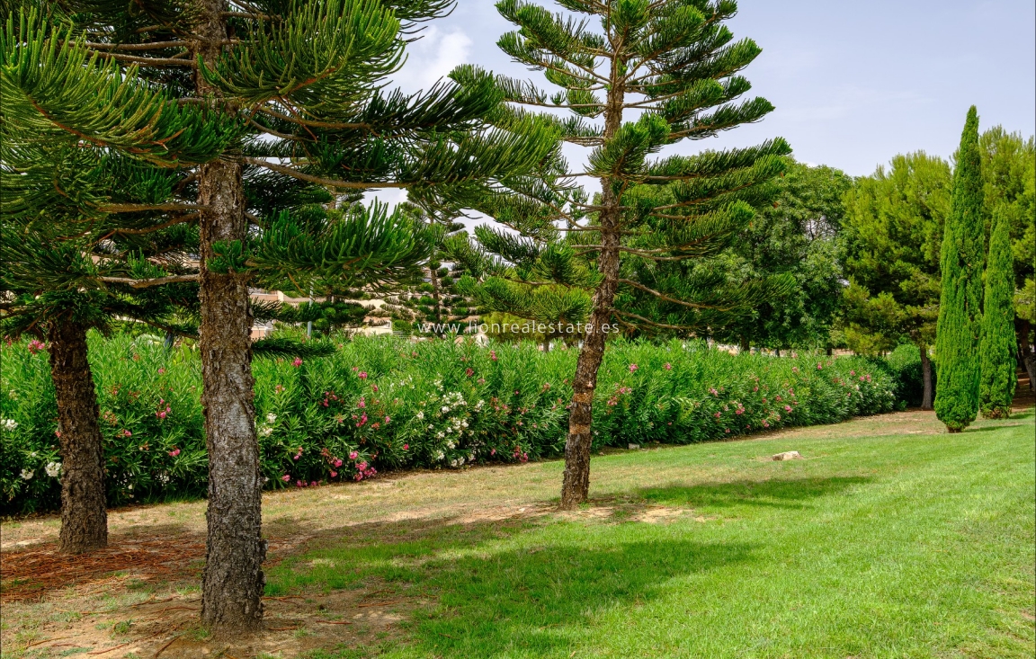 Перепродажа - Нулевой - Orihuela Costa - Punta Prima