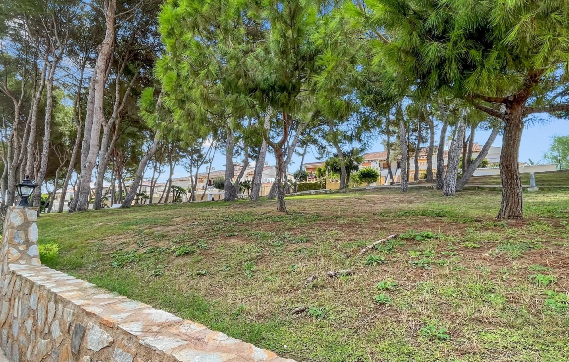Resale - Apartment / flat - Mil Palmeras