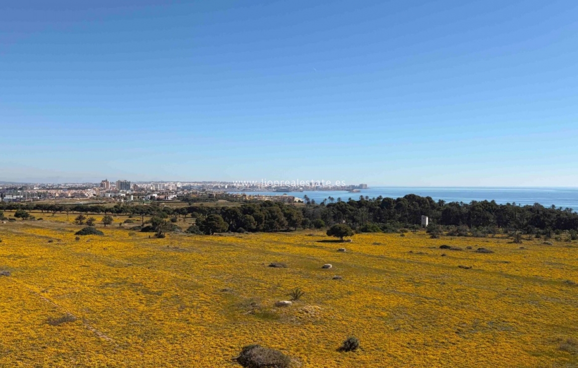 Resale - Apartment / flat - Orihuela Costa - Punta Prima