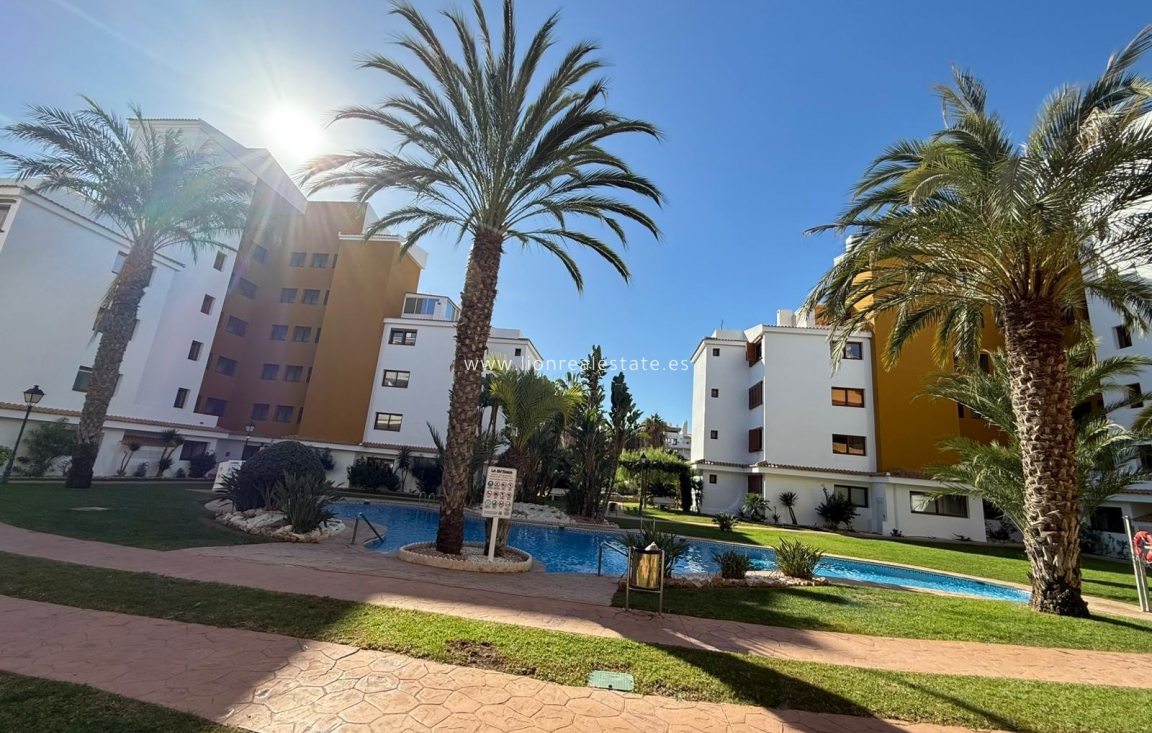 Resale - Apartment / flat - Punta Prima