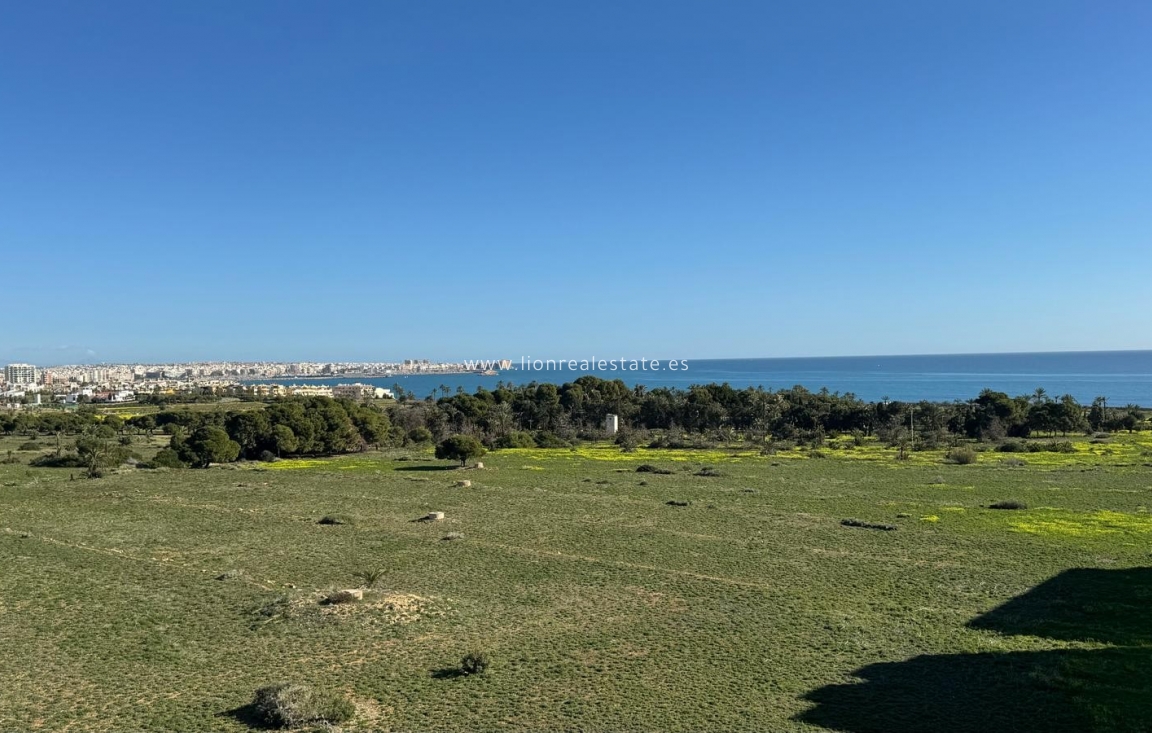 Resale - Apartment / flat - Punta Prima