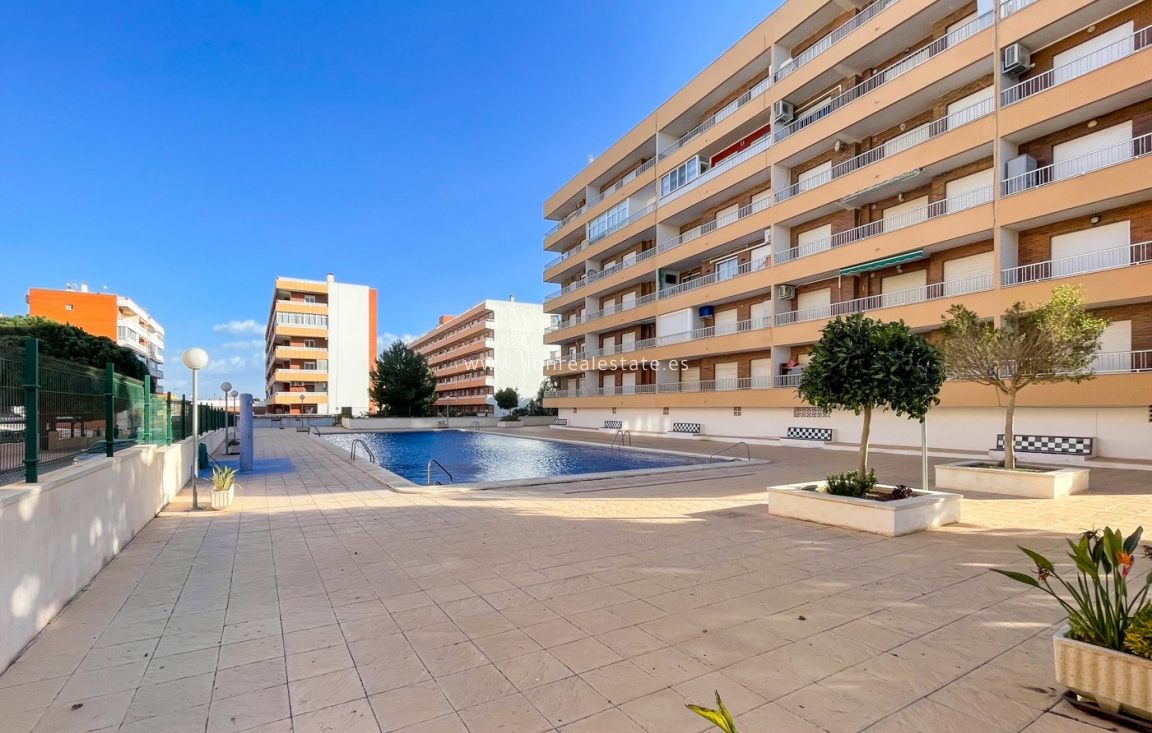 Resale - Apartment / flat - Punta Prima