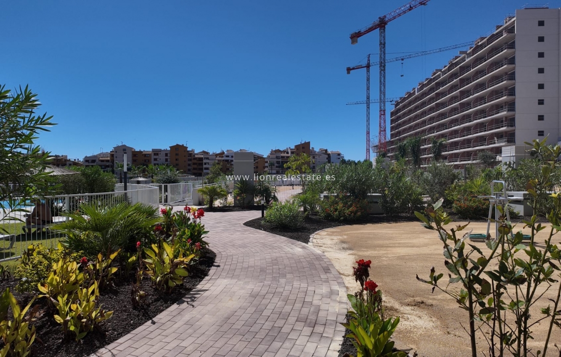 Resale - Apartment / flat - Punta Prima