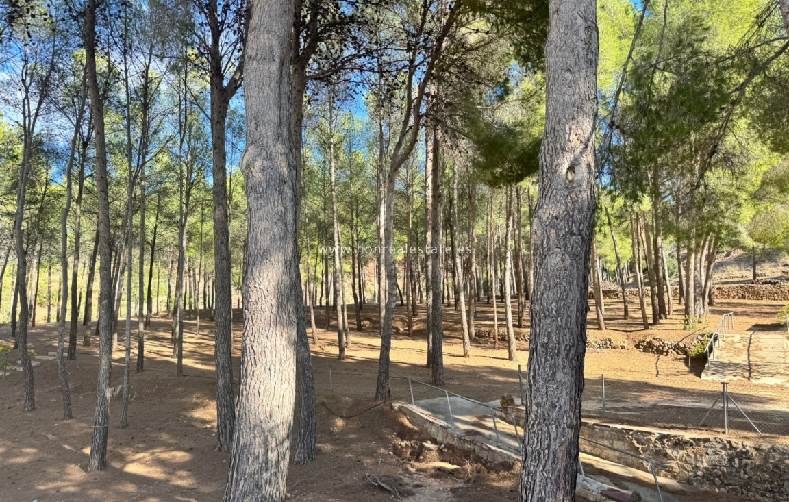 Resale - Building - Valencia