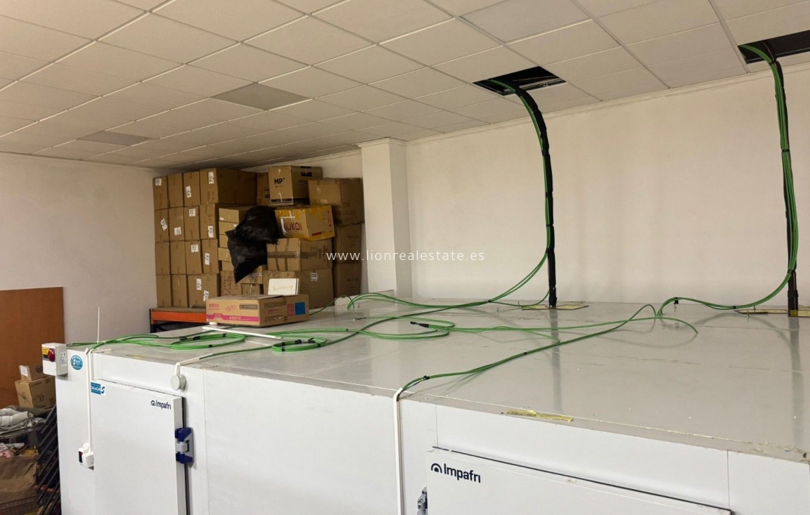 Resale - Commercial Unit - Torrevieja - Estacion de autobuses