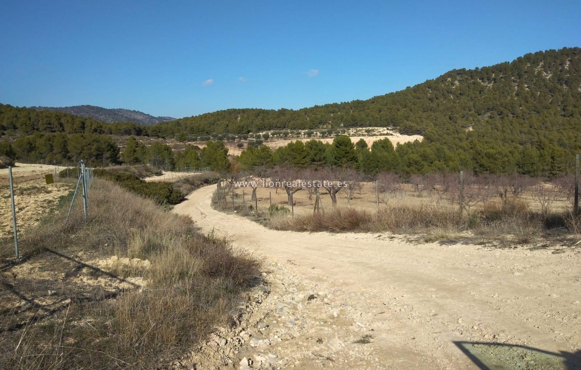 Resale - Country land - Mula