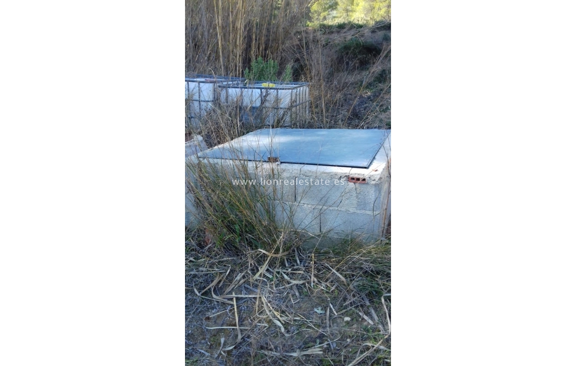 Resale - Country land - Mula