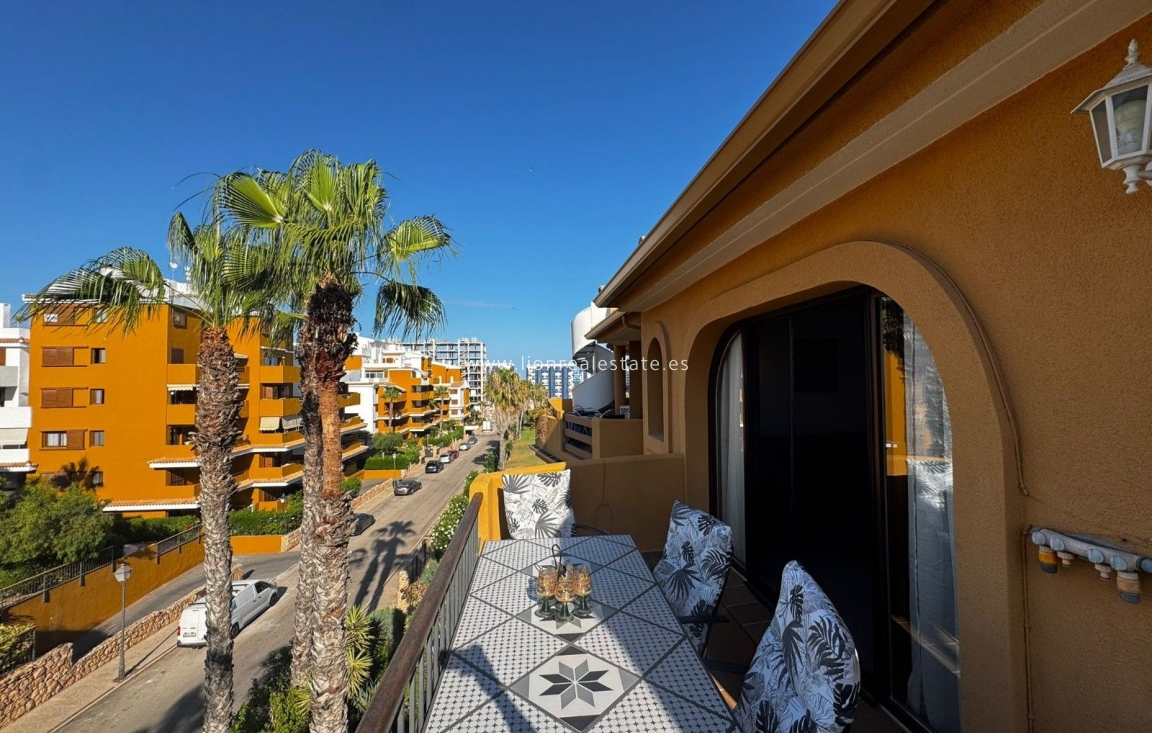 Resale - Penthouse - Torrevieja - Punta Prima