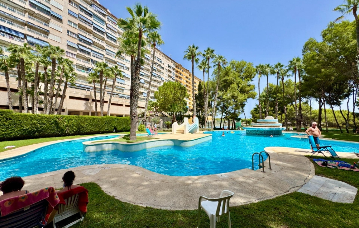 Reventa - Apartamento / piso - Orihuela Costa - Altos de Campoamor