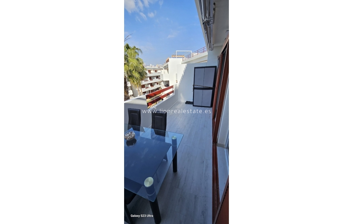 Reventa - Apartamento / piso - Playa Flamenca