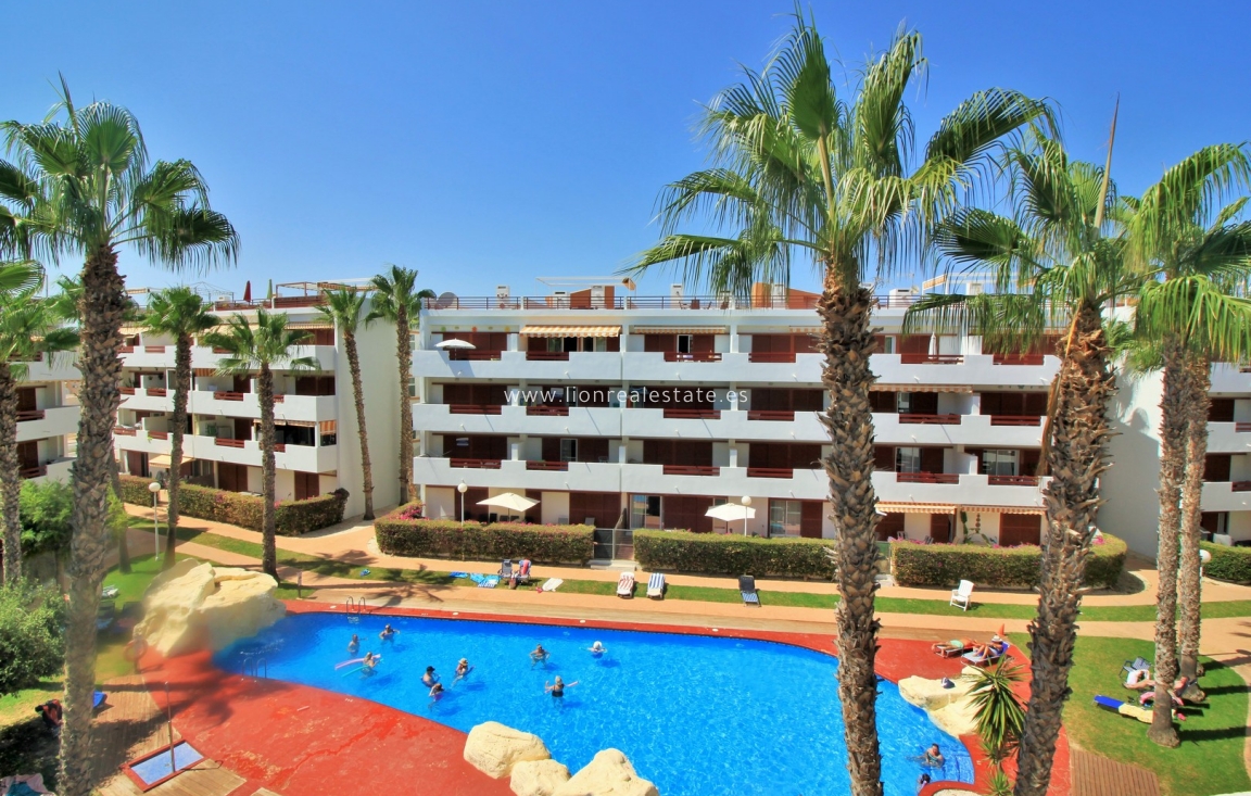 Reventa - Apartamento / piso - Playa Flamenca