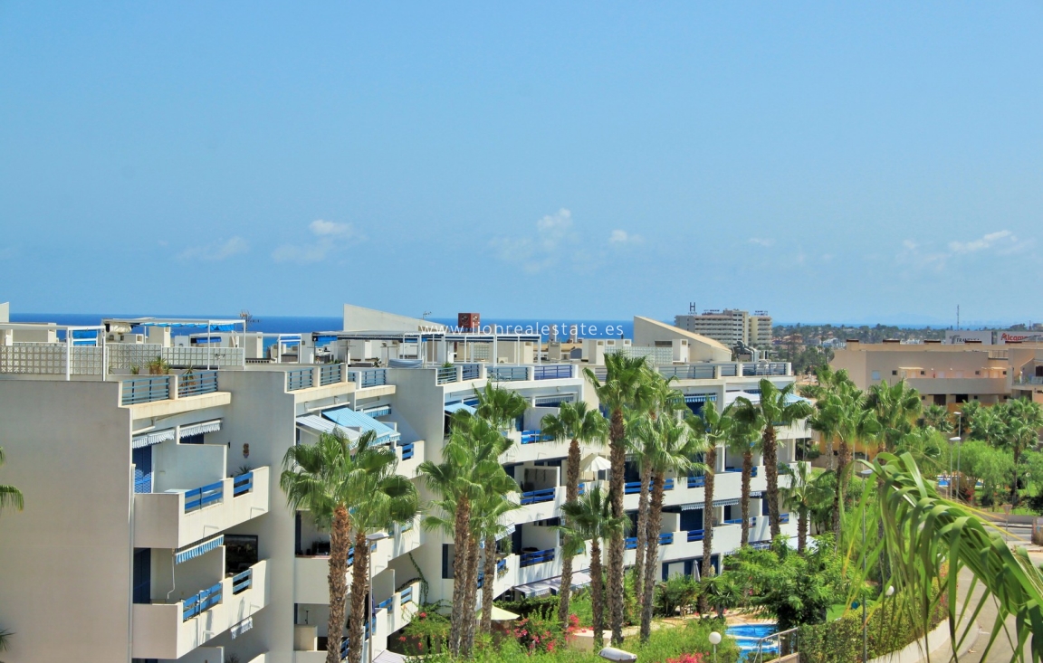 Reventa - Apartamento / piso - Playa Flamenca