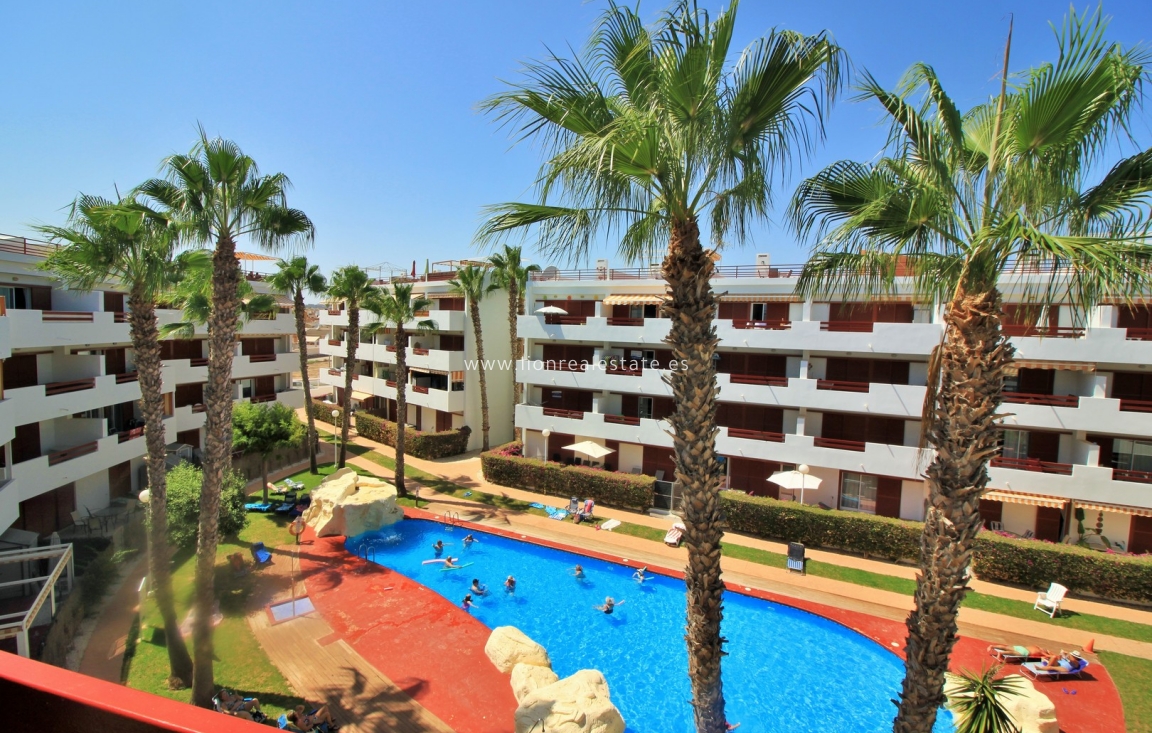 Reventa - Apartamento / piso - Playa Flamenca