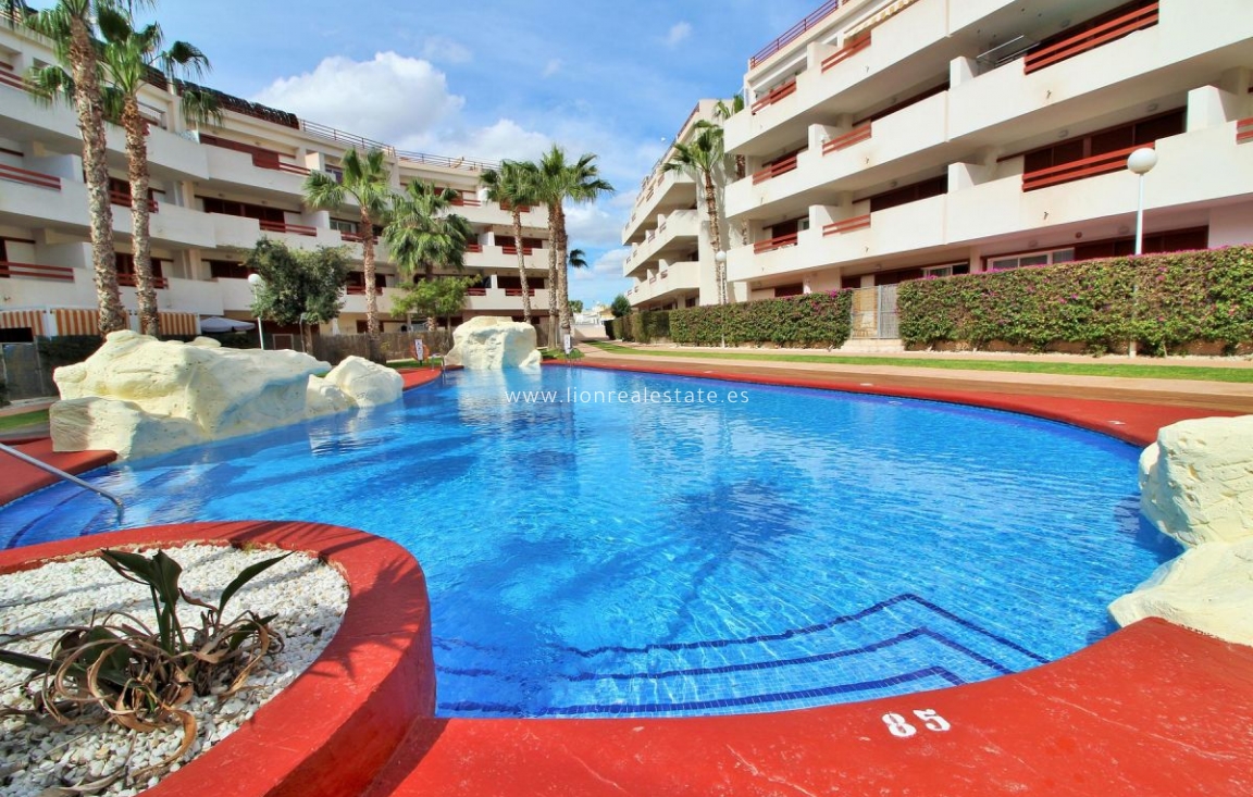 Reventa - Apartamento / piso - Playa Flamenca