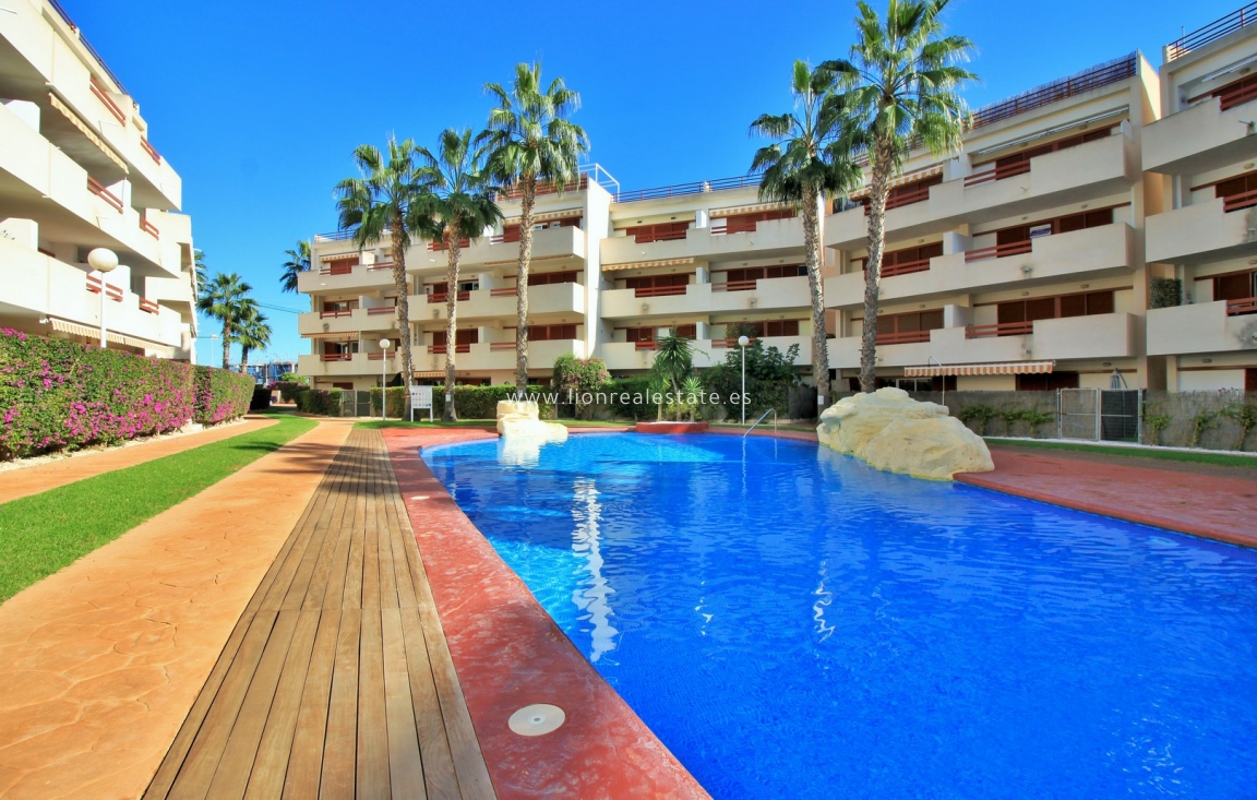 Reventa - Apartamento / piso - Playa Flamenca