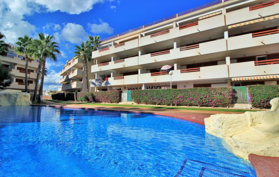 Reventa - Apartamento / piso - Playa Flamenca