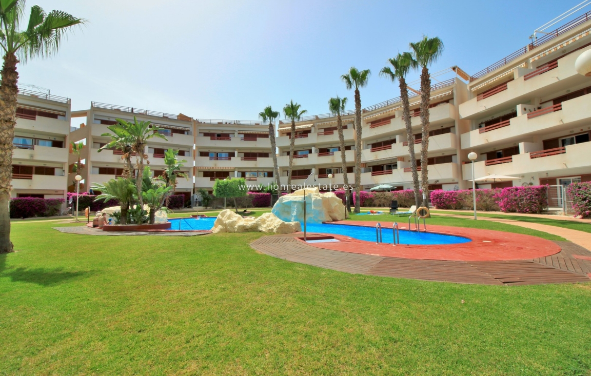 Reventa - Apartamento / piso - Playa Flamenca