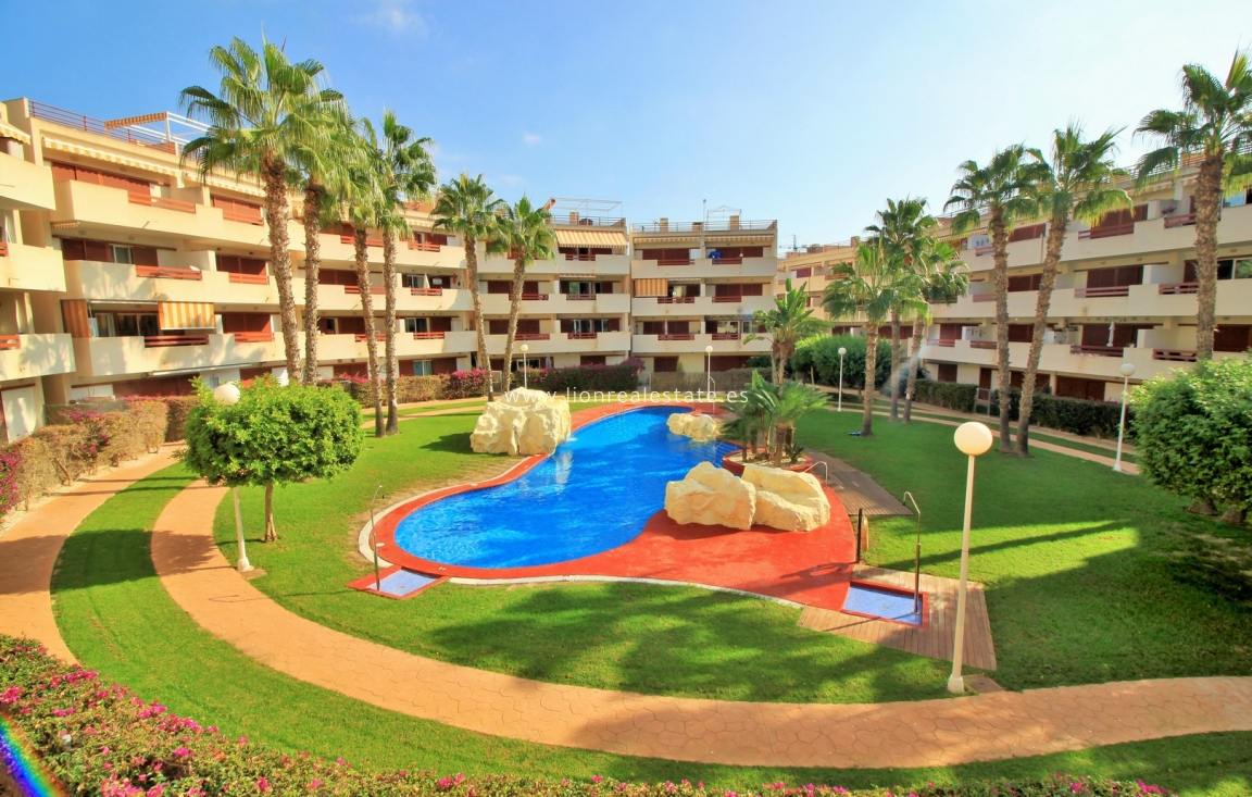 Reventa - Apartamento / piso - Playa Flamenca