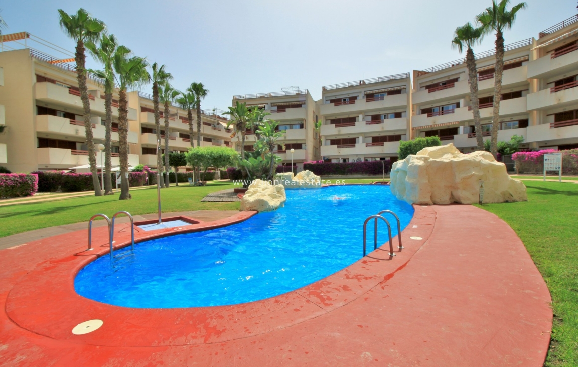 Reventa - Apartamento / piso - Playa Flamenca