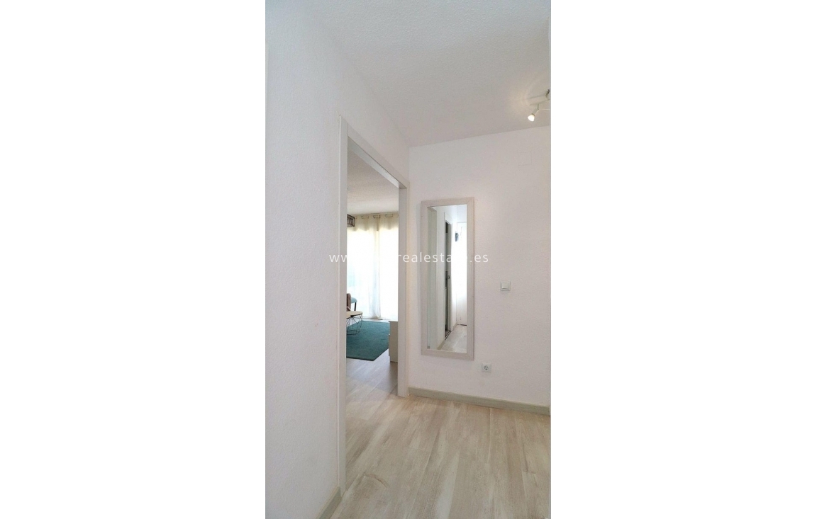 Reventa - Apartamento / piso - Punta Prima