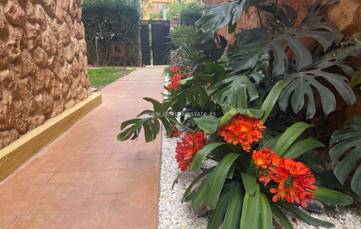 Reventa - Apartamento / piso - Punta Prima