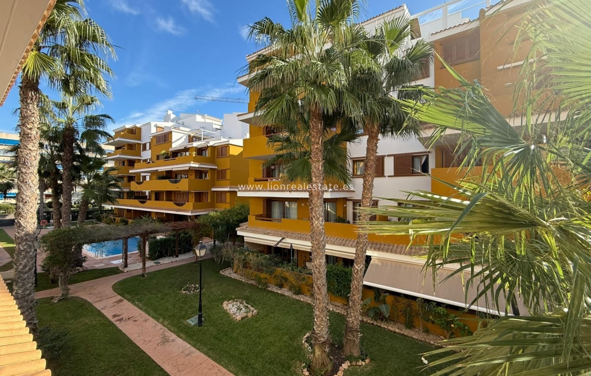 Reventa - Apartamento / piso - Punta Prima