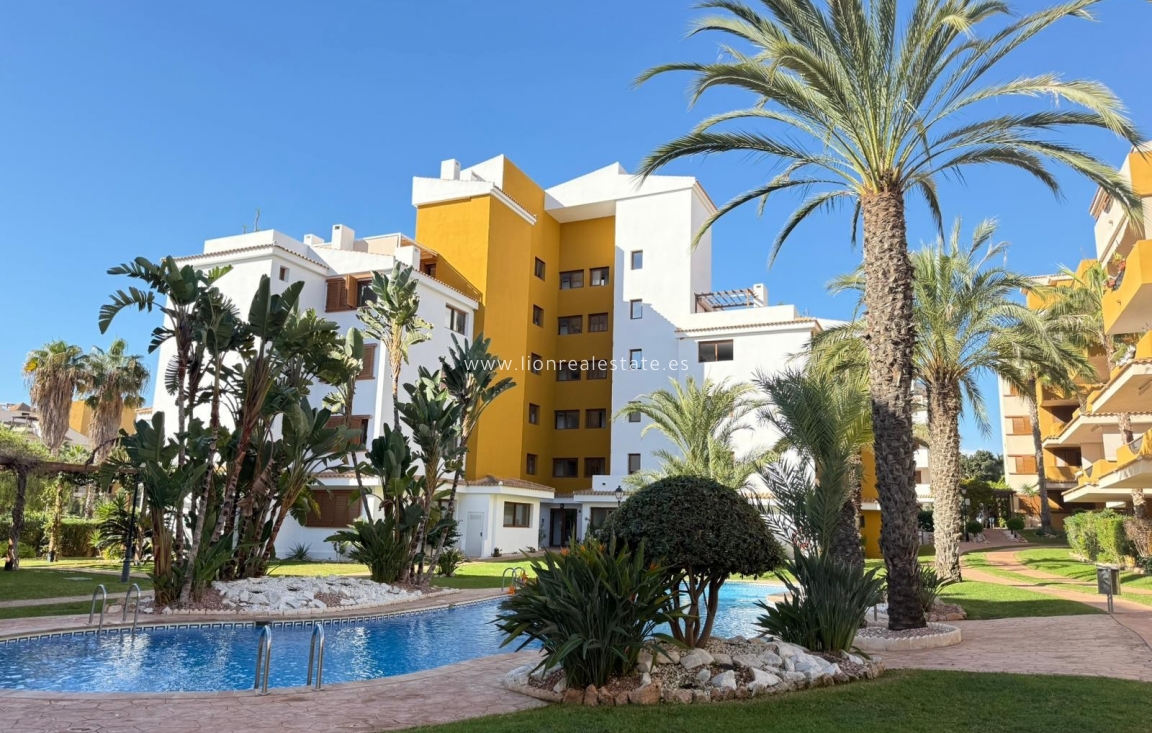 Reventa - Apartamento / piso - Punta Prima