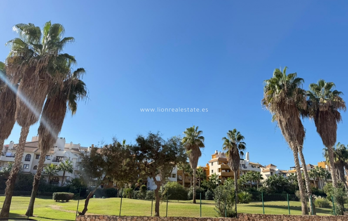 Reventa - Apartamento / piso - Punta Prima