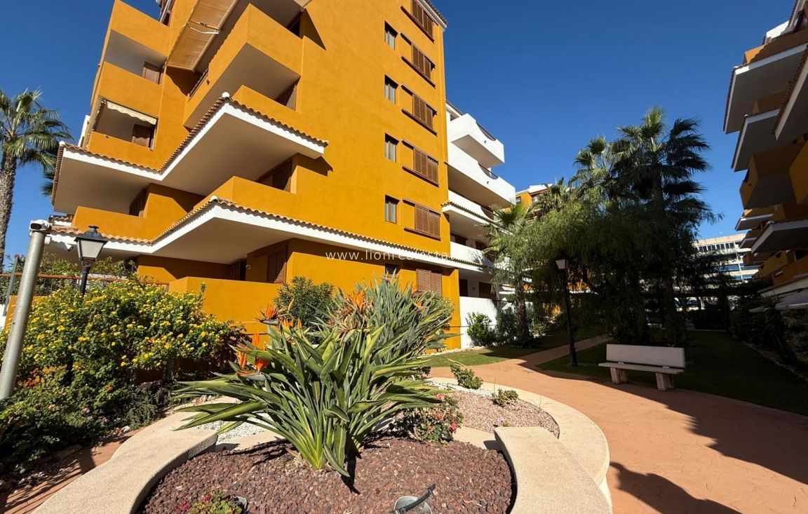 Reventa - Apartamento / piso - Punta Prima