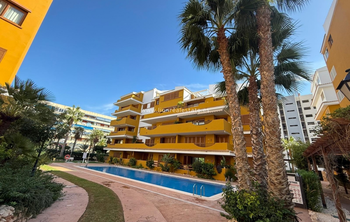 Reventa - Apartamento / piso - Punta Prima