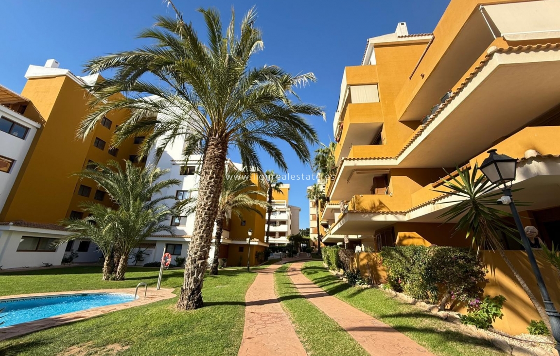 Reventa - Apartamento / piso - Punta Prima