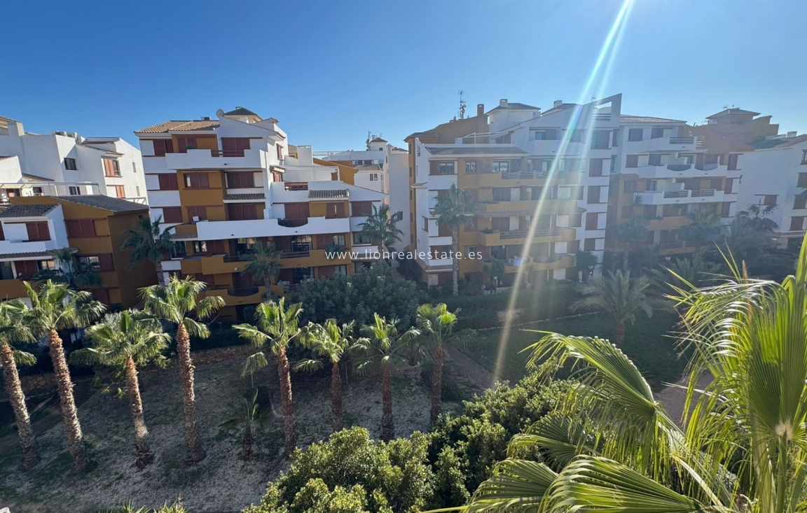 Reventa - Apartamento / piso - Punta Prima