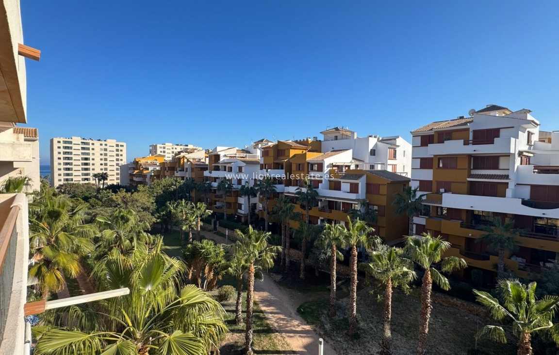 Reventa - Apartamento / piso - Punta Prima