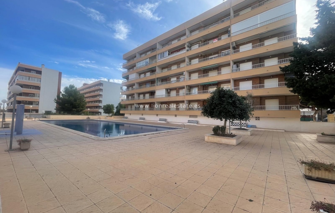 Reventa - Apartamento / piso - Punta Prima